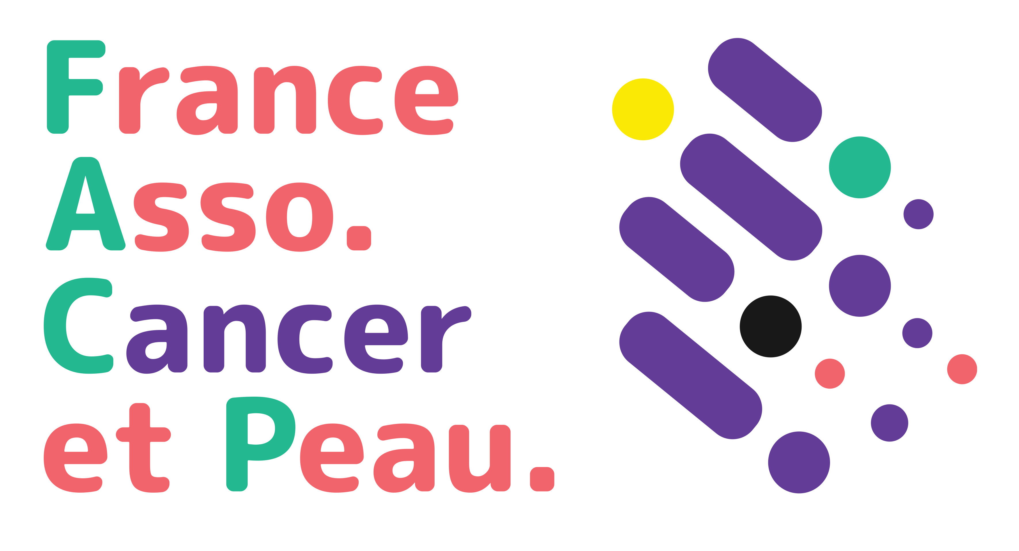 France Asso Cancer et Peau